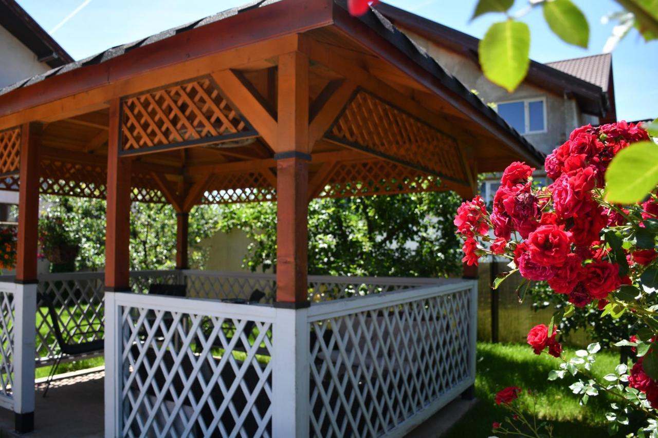 Pensiunea Clasic Hunedoara Pestisu Mare Exterior foto