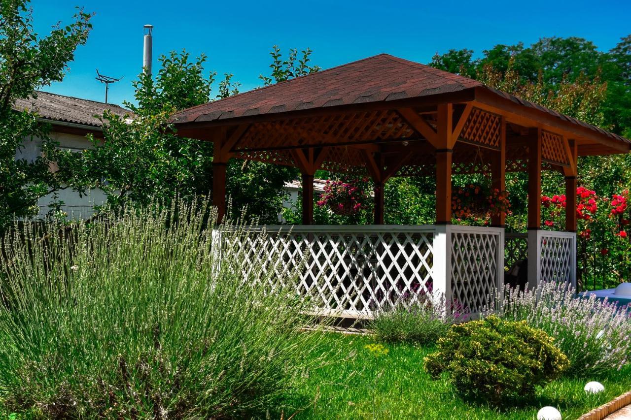 Pensiunea Clasic Hunedoara Pestisu Mare Exterior foto